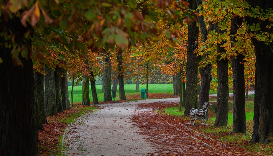 Tivolipark